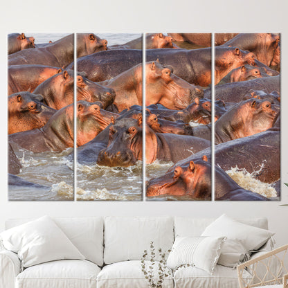 Wildlife Hippos Loft Her Canvas Print