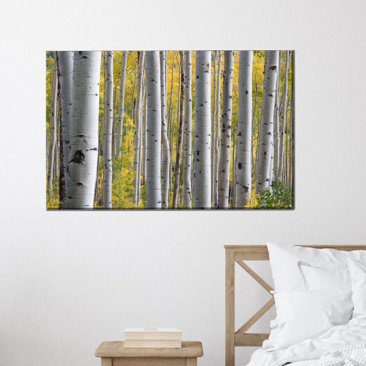 Birch Grove Forest Tree Landscape Canvas Print