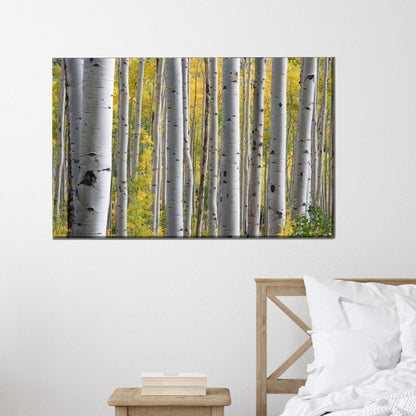 Birch Grove Forest Tree Landscape Canvas Print