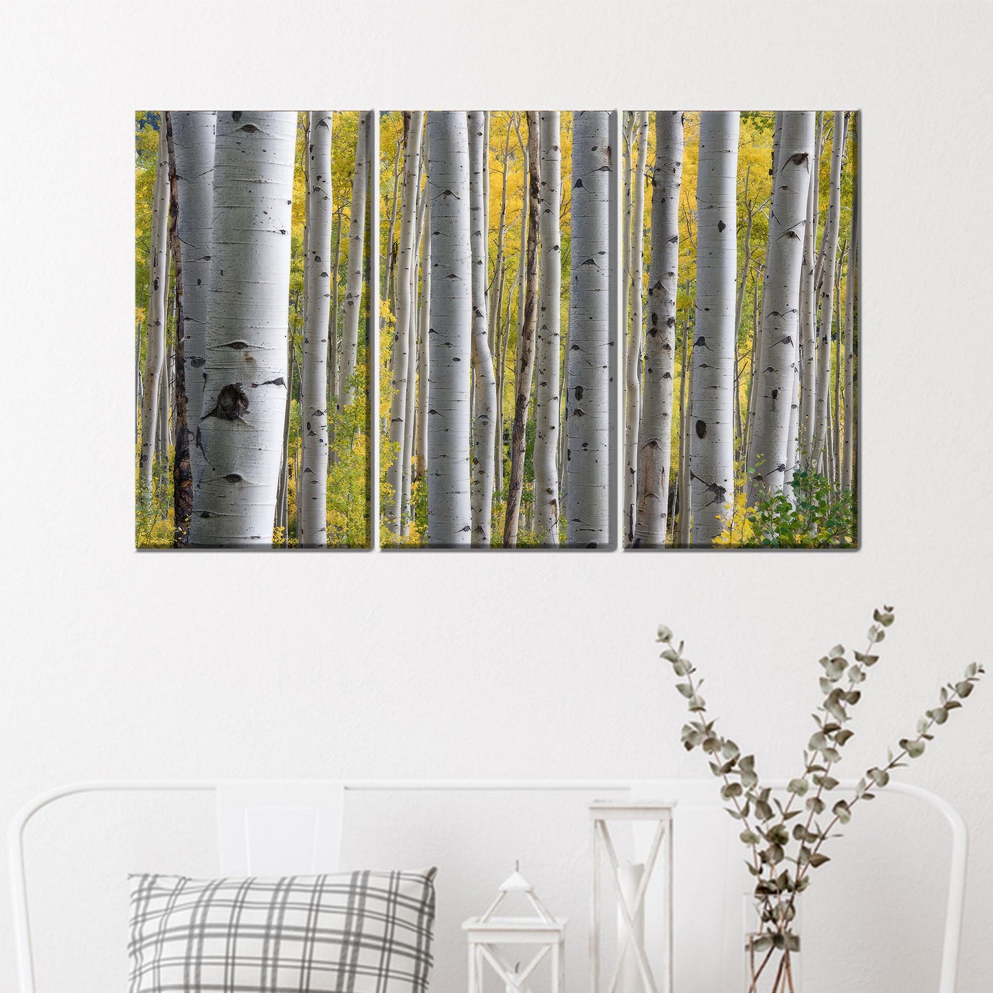 Birch Grove Forest Tree Landscape Canvas Print