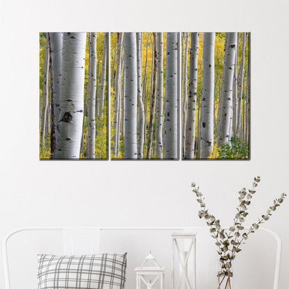 Birch Grove Forest Tree Landscape Canvas Print