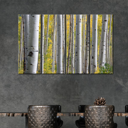 Birch Grove Forest Tree Landscape Canvas Print