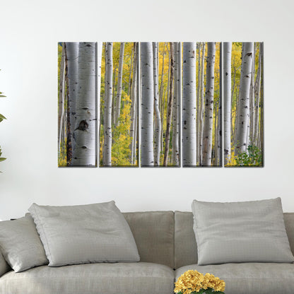 Birch Grove Forest Tree Landscape Canvas Print