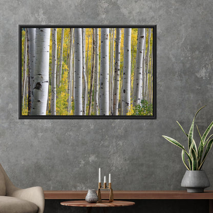 Birch Grove Forest Tree Landscape Canvas Print