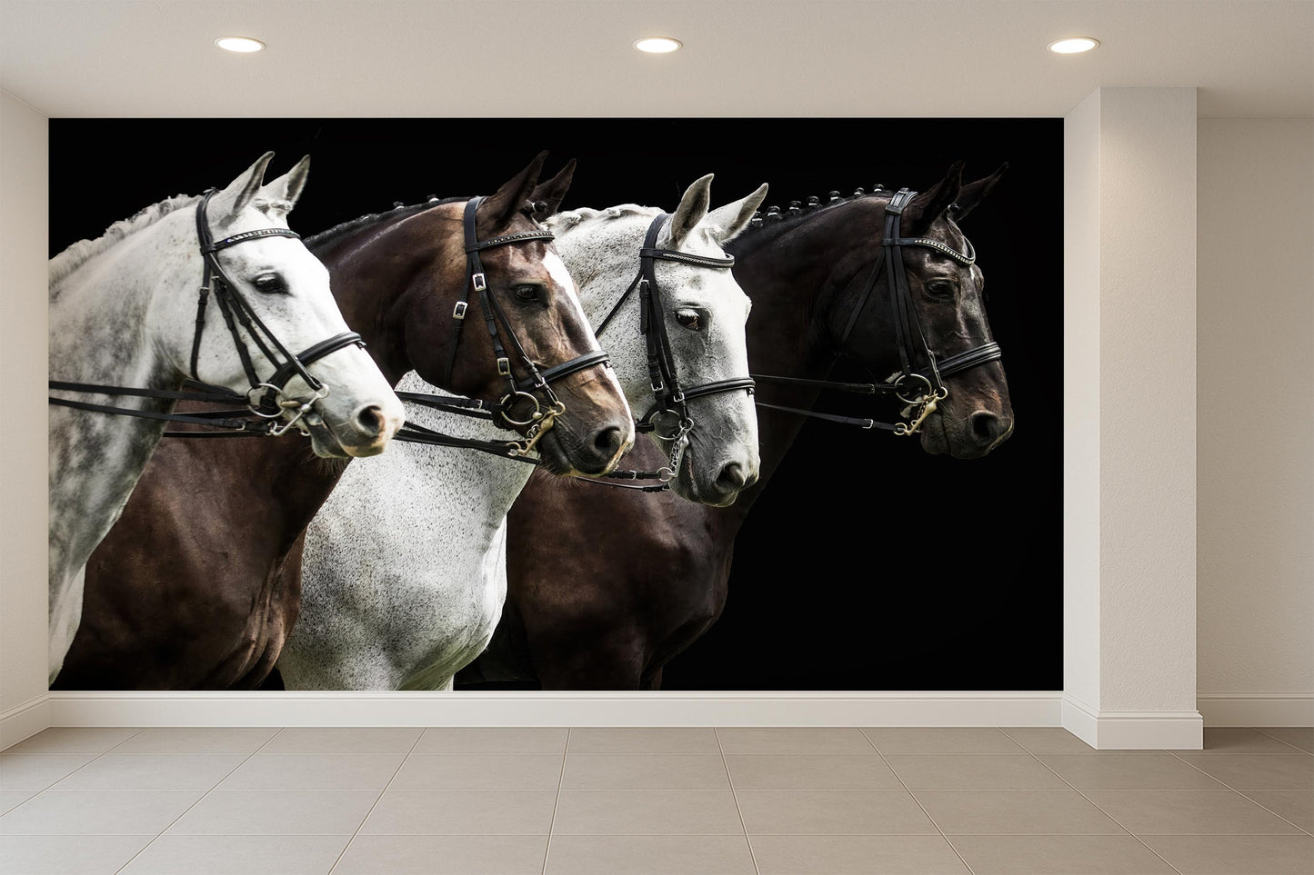 Equestrian Horse Portrait Wallpaper Mural, Rustic Decor for Living Room