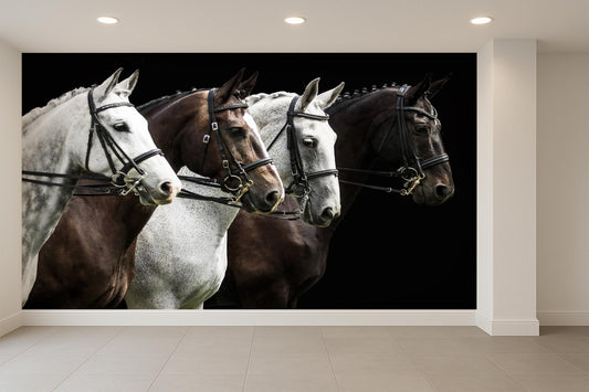 Equestrian Horse Portrait Wallpaper Mural, Rustic Decor for Living Room
