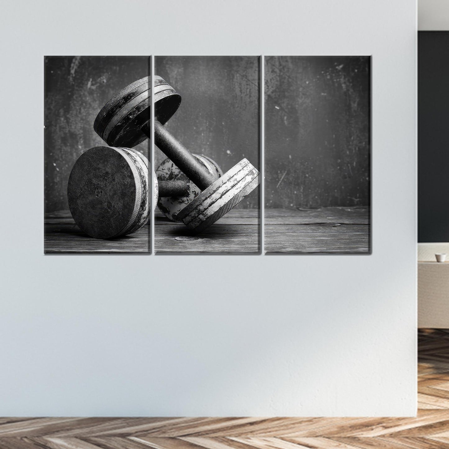 Black and White Dumbbells Hangings Canvas Print