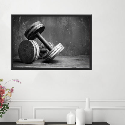 Black and White Dumbbells Hangings Canvas Print