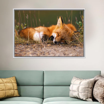 Sleeping Fox 3D Cute Canvas Print