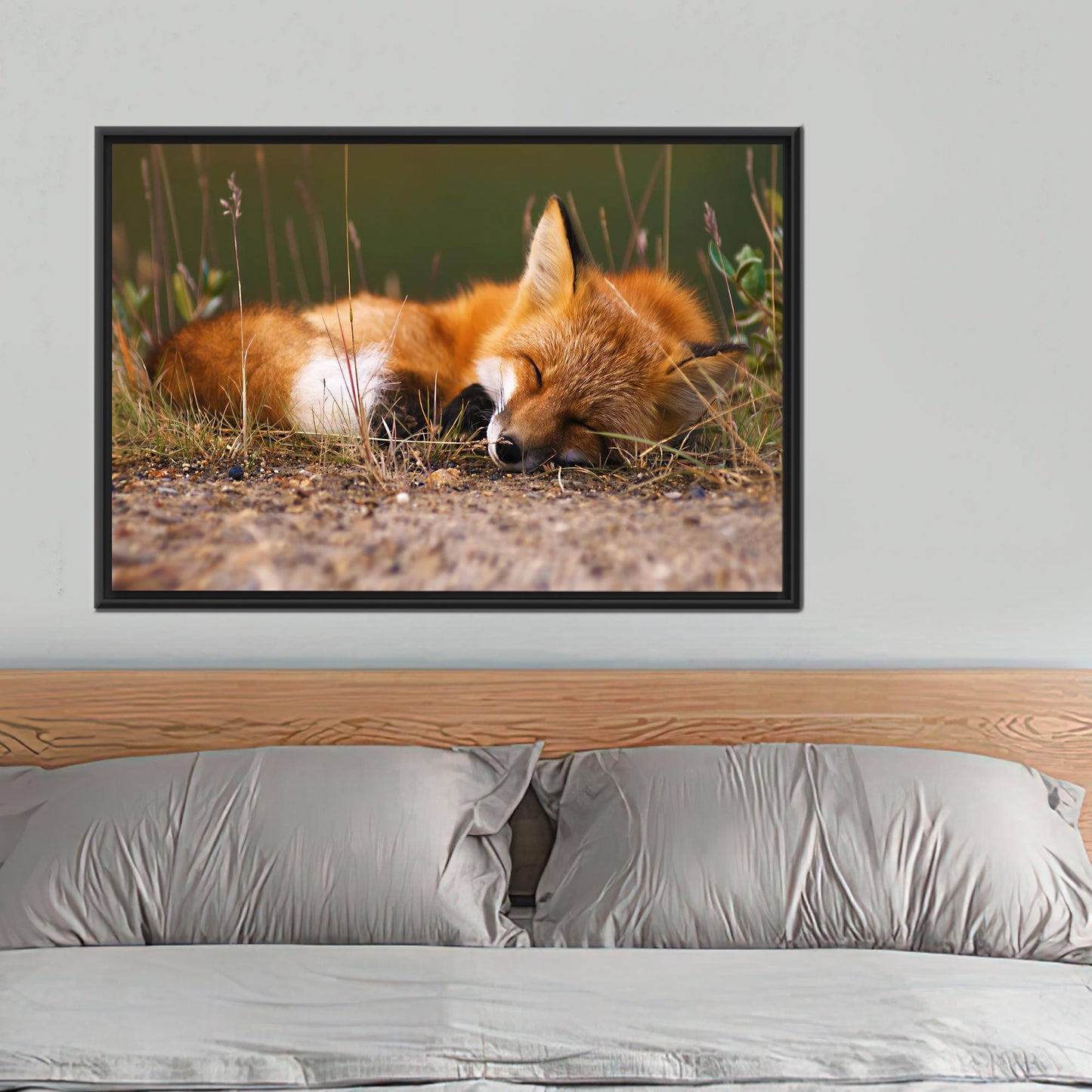 Sleeping Fox 3D Cute Canvas Print