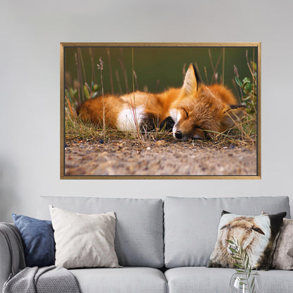 Sleeping Fox 3D Cute Canvas Print