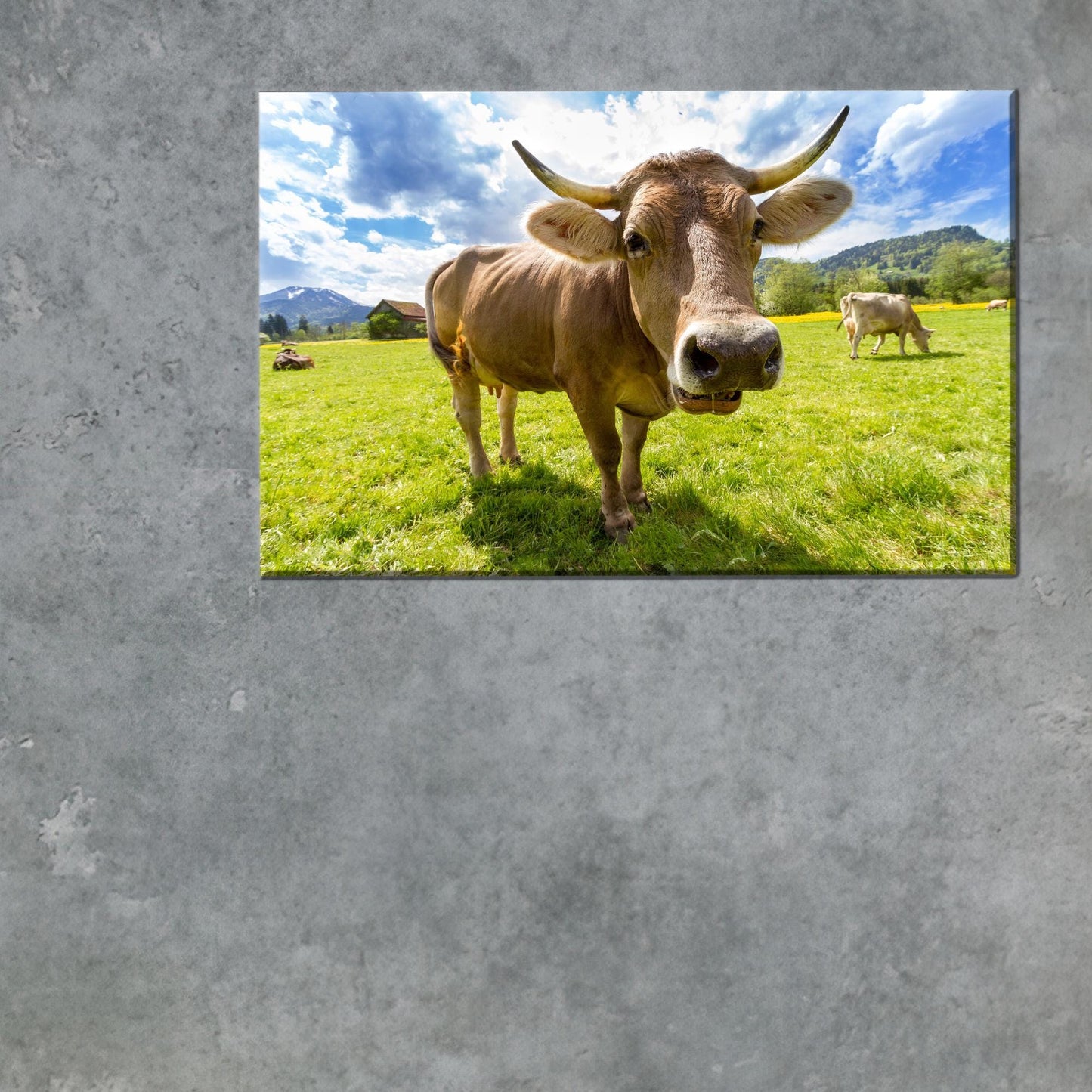 Farm 3D Cattle Head Canvas Print