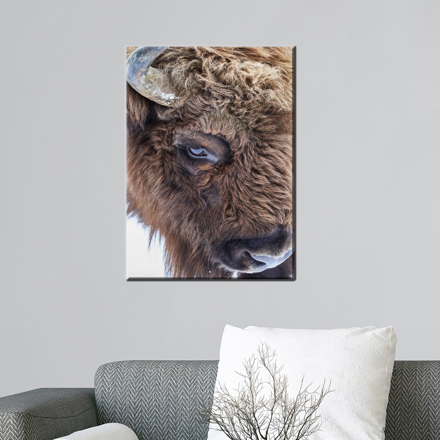 Boho Bull Wild Canvas Print