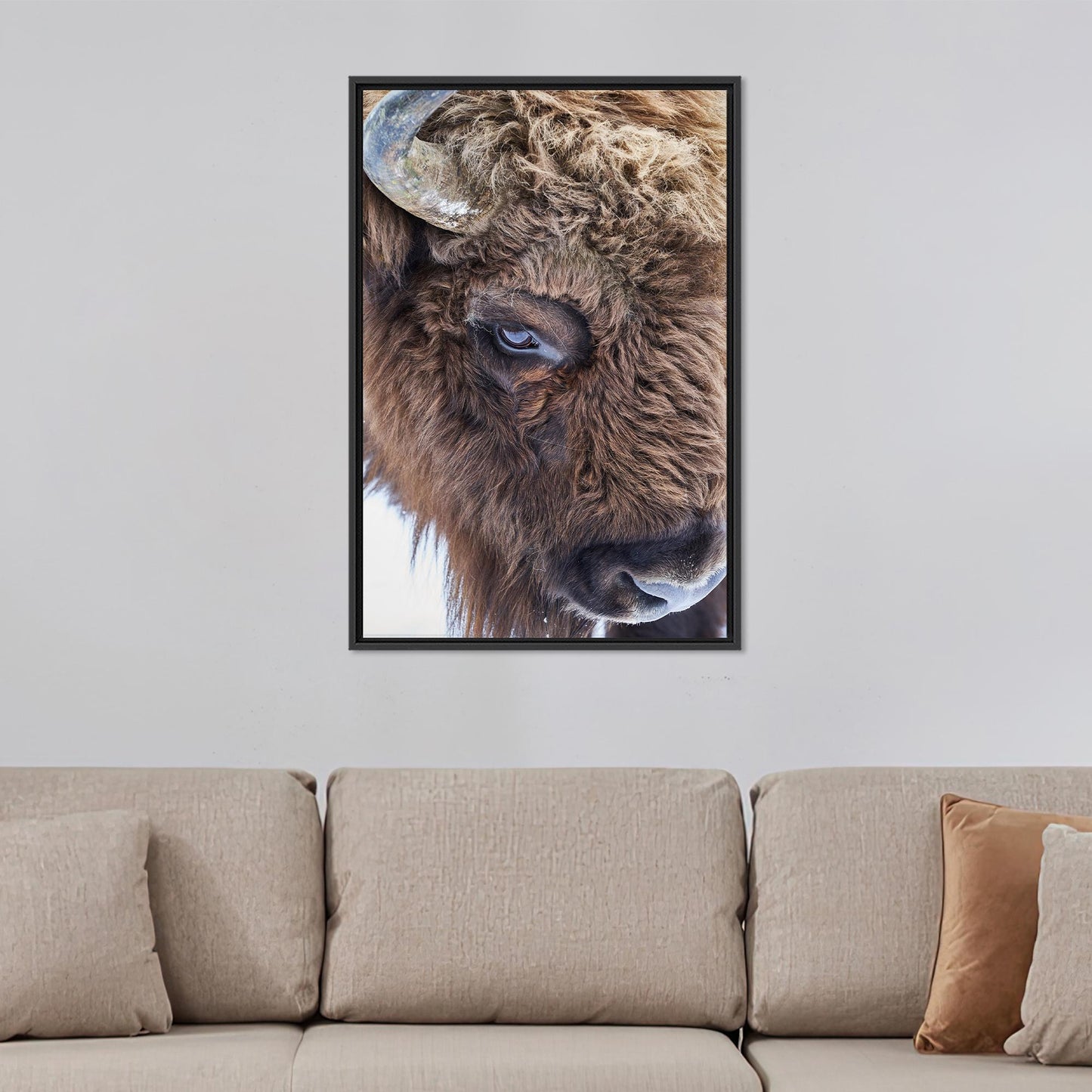 Boho Bull Wild Canvas Print