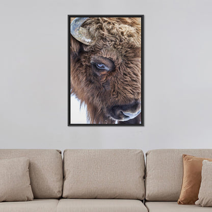 Boho Bull Wild Canvas Print