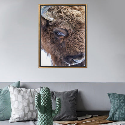 Boho Bull Wild Canvas Print