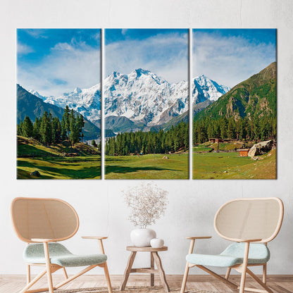 Nanga Parbat and Fairy Meadows Canvas Print