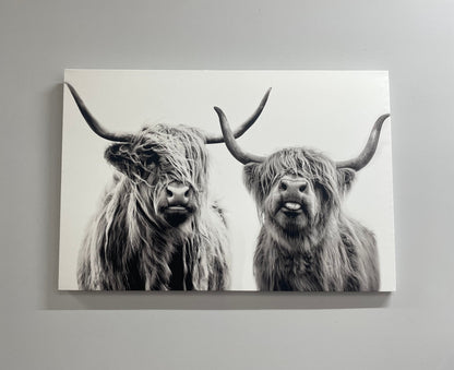 Scottish Cow Highland Canvas Print