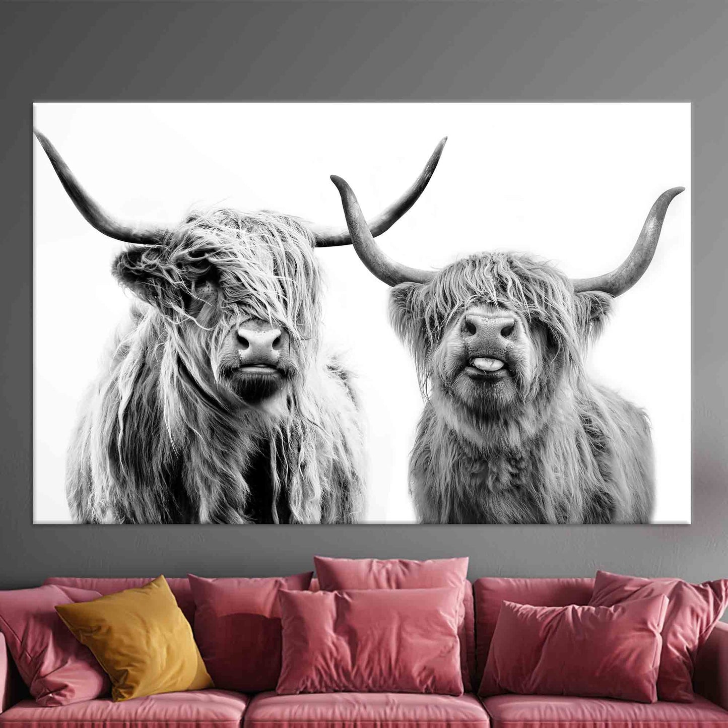 Scottish Cow Highland Canvas Print