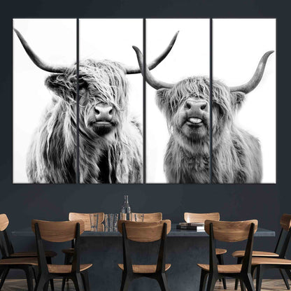 Scottish Cow Highland Canvas Print
