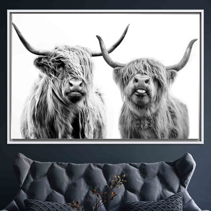 Scottish Cow Highland Canvas Print