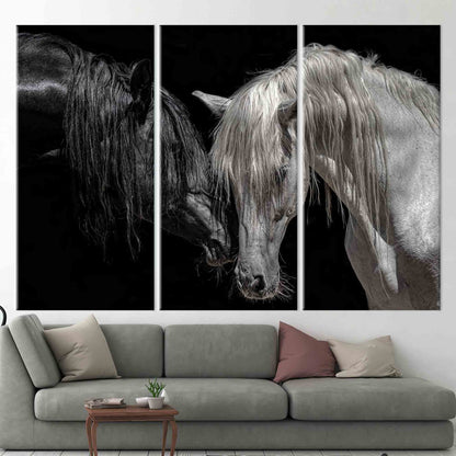 Black and White Horse Canvas Print