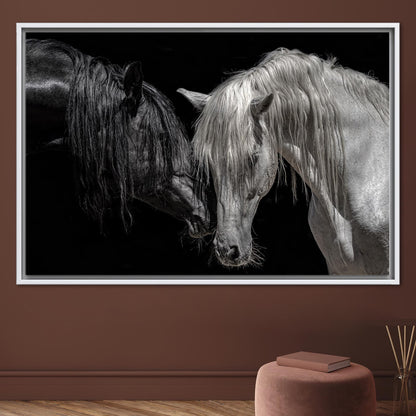 Black and White Horse Canvas Print