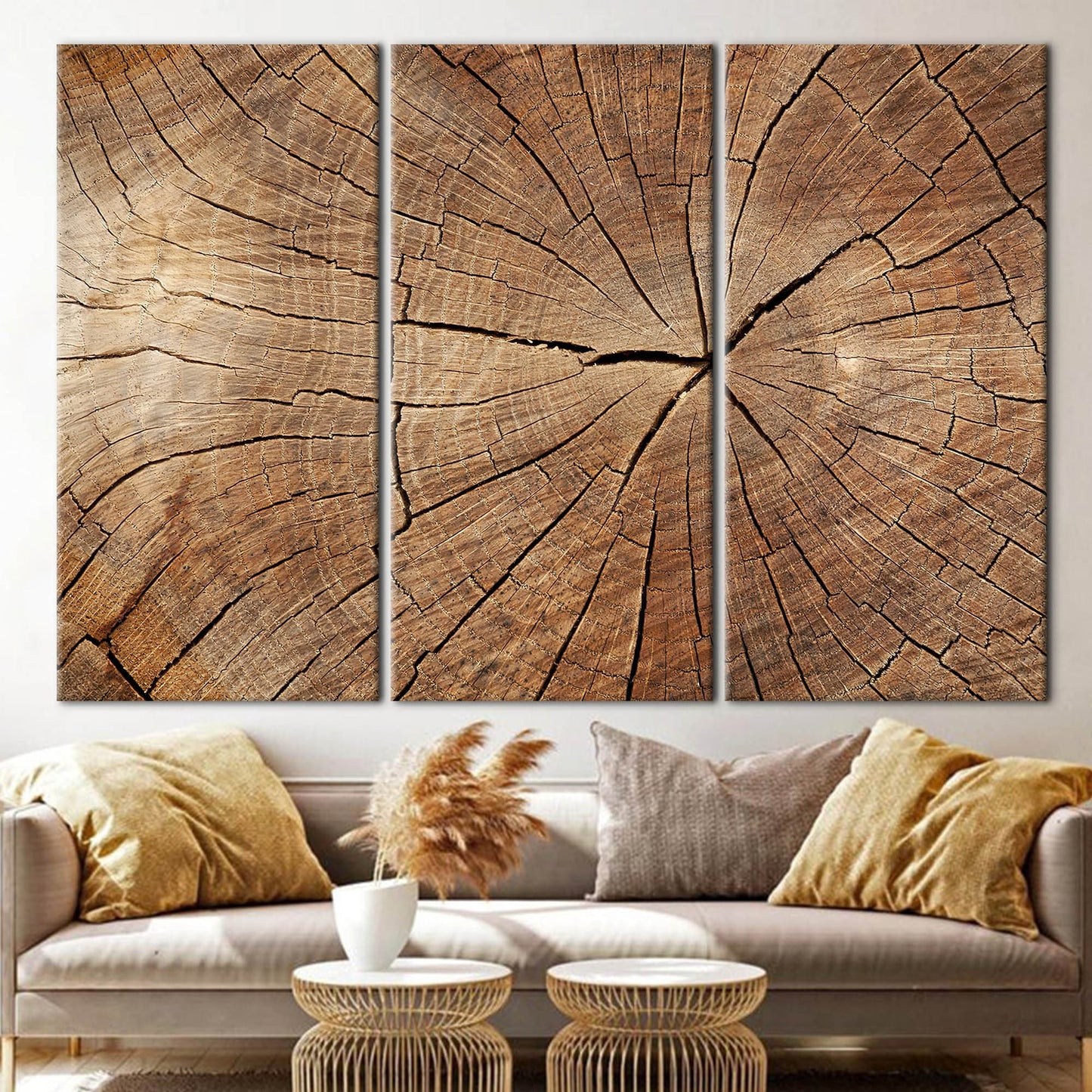 Brown Tree Ring Nature Abstract Canvas Print