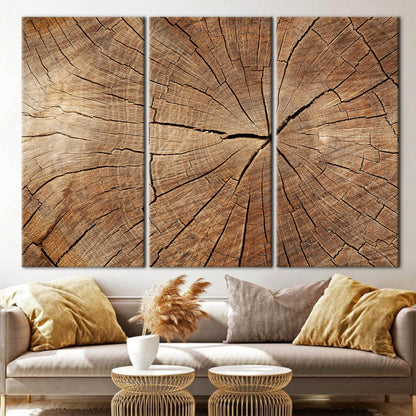 Brown Tree Ring Nature Abstract Canvas Print