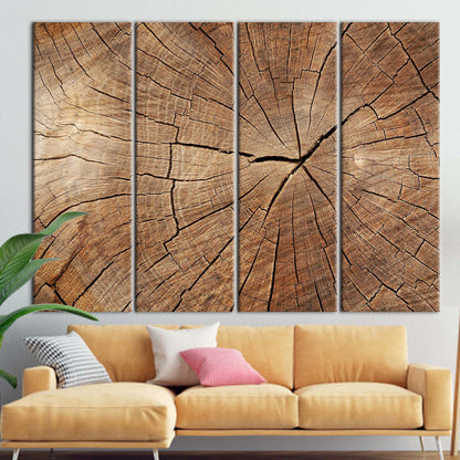 Brown Tree Ring Nature Abstract Canvas Print