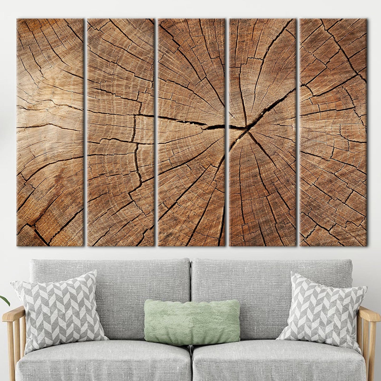Brown Tree Ring Nature Abstract Canvas Print