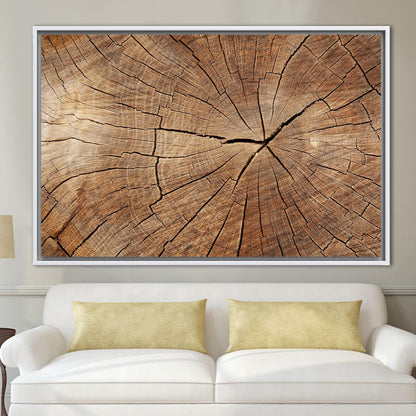 Brown Tree Ring Nature Abstract Canvas Print