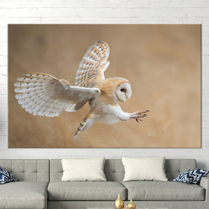 Barn Owl Wildlife Canvas Print
