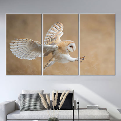 Barn Owl Wildlife Canvas Print