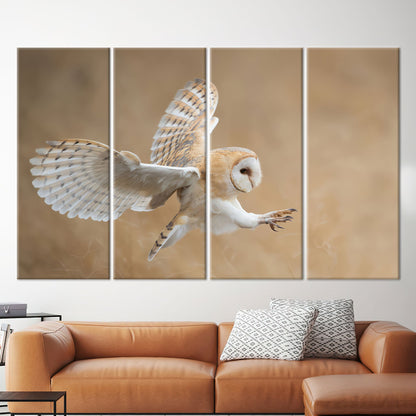 Barn Owl Wildlife Canvas Print