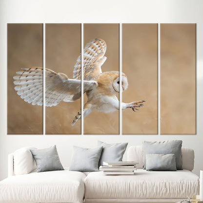 Barn Owl Wildlife Canvas Print