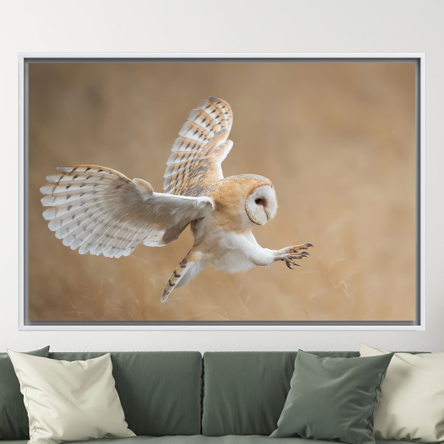 Barn Owl Wildlife Canvas Print