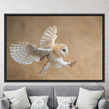 Barn Owl Wildlife Canvas Print
