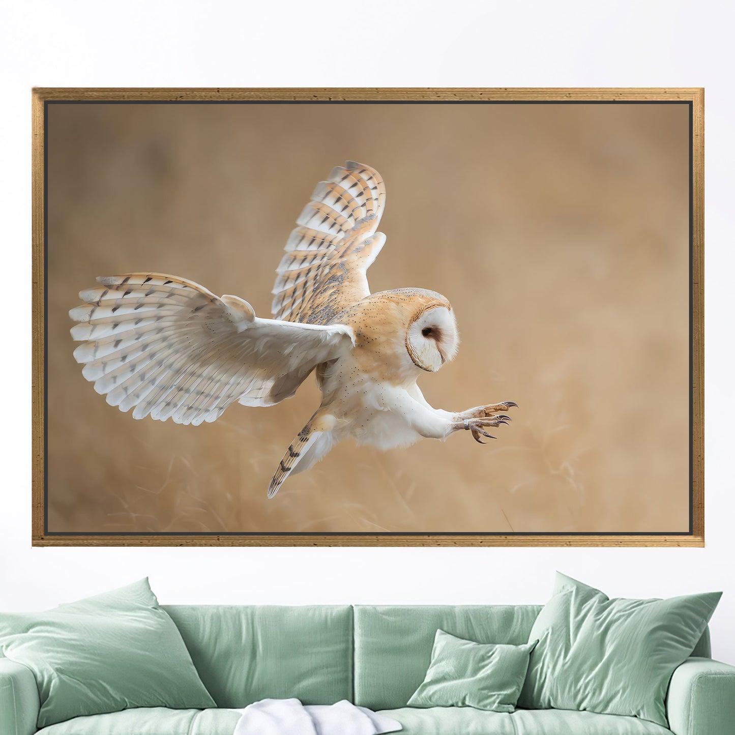 Barn Owl Wildlife Canvas Print