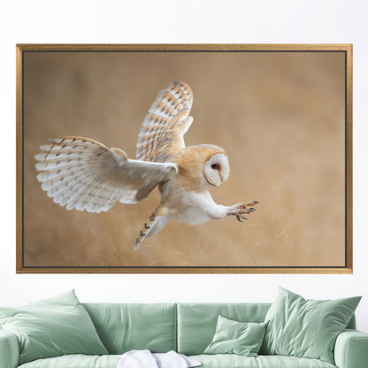 Barn Owl Wildlife Canvas Print