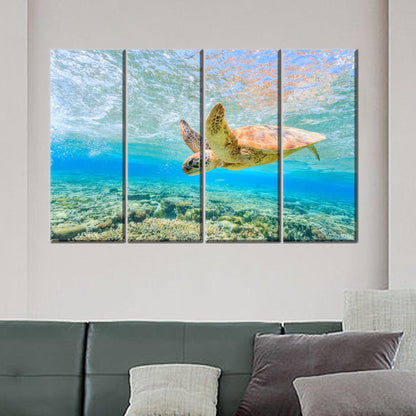 Ocean Blue Canvas Print: Swimming Sea Turtle Wall Art for Personalized Gifts