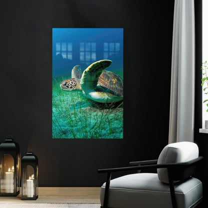 Tropical Turtle Glass Wall Art