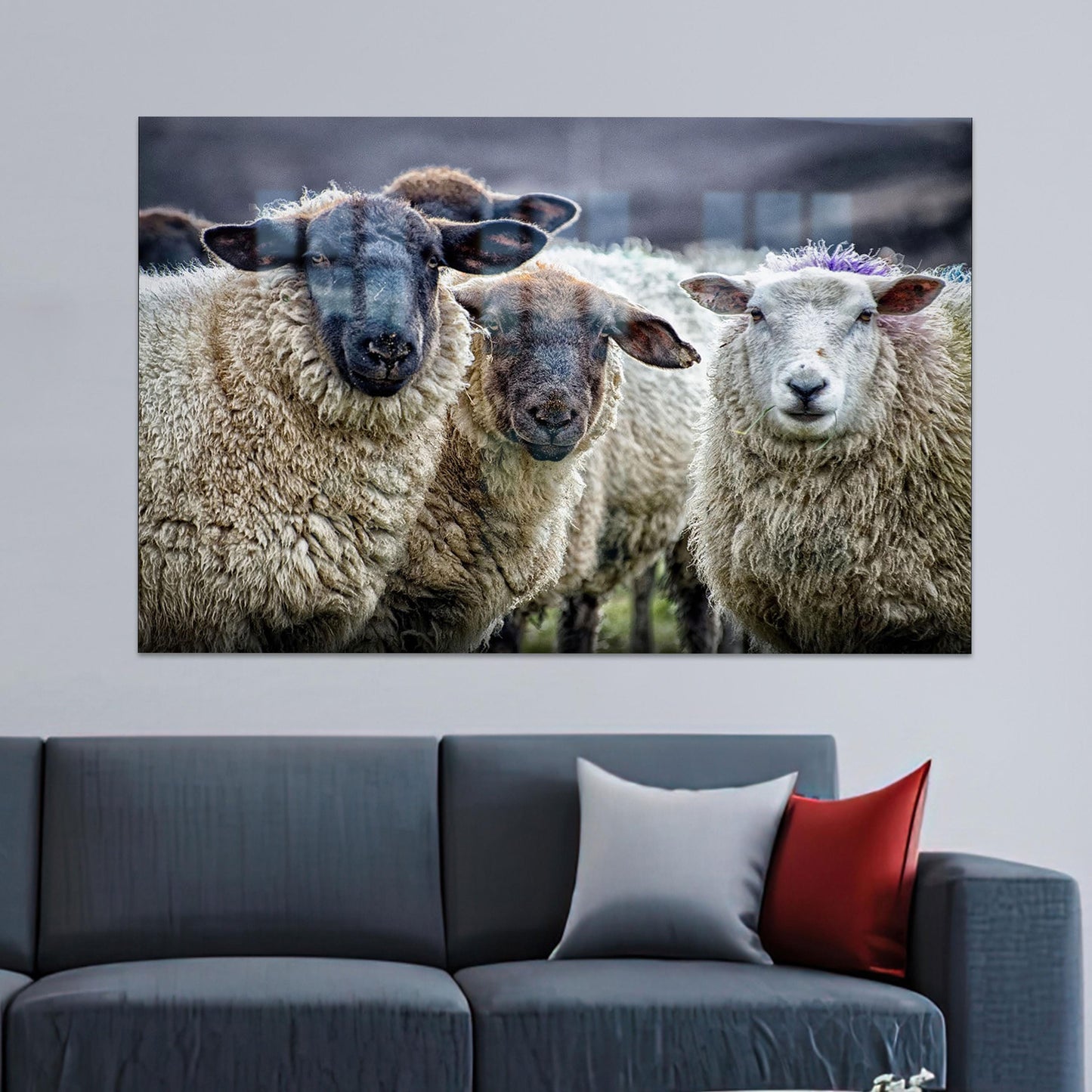 Sheep Living Glass Wall Art