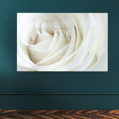 White Rose Botanical Glass Wall Art