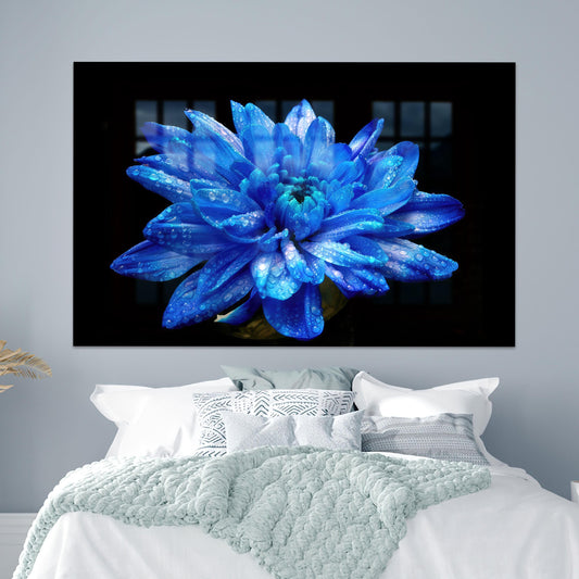 Modern Black Glass Wall Art for Home Decor
