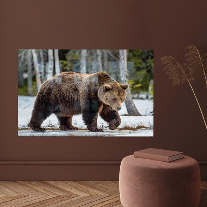 Brown Bear Minimalist Glass Wall Art