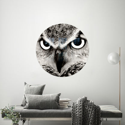 Owl Glass Wall Art