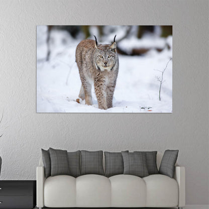 Lynx Wolf Cat Bridesmaid Glass Wall Art