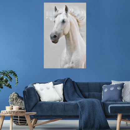 White Horse Bridesmaid and Glass Wall Art