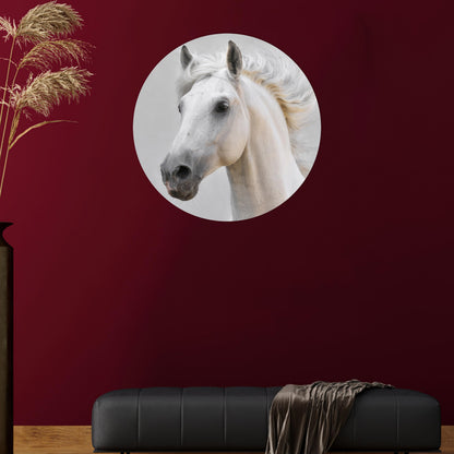 White Horse Bridesmaid and Glass Wall Art